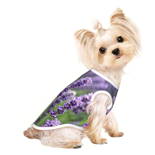 M Pet atmungsaktives ärmelloses T-Shirt – weiches lila Lavendel-Blumendruck, dehnbare Weste für Hunde und Katzen, leichtes Tanktop von CPyuqw