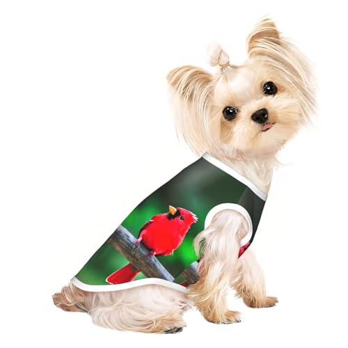 M Pet atmungsaktives ärmelloses T-Shirt – weiches rotes süßes Vogelmuster, dehnbare Weste für Hunde und Katzen, leichtes Tanktop M Pet atmungsaktives ärmelloses T-Shirt – weiches rotes süßes Vogelmuster, dehnbare Weste für Hunde und Katzen, leichtes Tanktop von CPyuqw