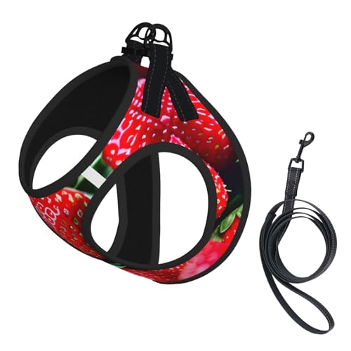 S Haustier-Leine, Weste und Hundegeschirr, klein, mit Schnalle, Hundebegleiter, Outdoor-Reisen S Haustier-Leine, Weste und Hundegeschirr, klein, mit Schnalle, Hundebegleiter, Outdoor-Reisen von CPyuqw
