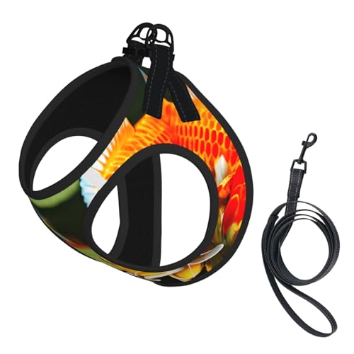 S Haustier-Leine, Weste und Hundegeschirr, kleine Größe, japanischer hübscher Koi-Fischdruck, mit Schnalle, Hundebegleiter, Outdoor-Reisen S Haustier-Leine, Weste und Hundegeschirr, kleine Größe, japanischer hübscher Koi-Fischdruck, mit Schnalle, Hundebegleiter, Outdoor-Reisen von CPyuqw