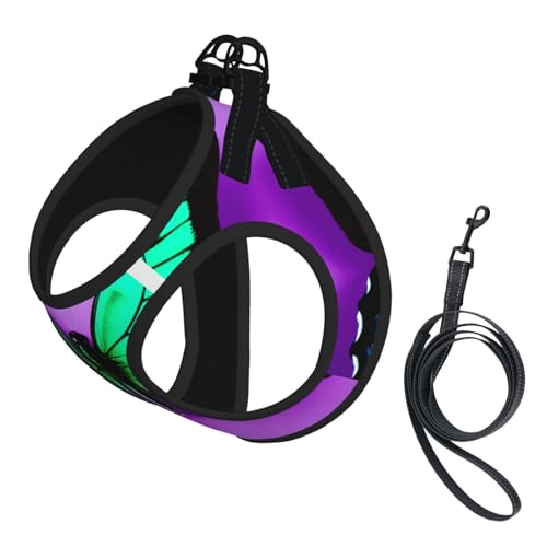 S Haustier-Leine, Weste und Hundegeschirr, kleine Größe, lila mit niedlichem Schmetterlings-Aufdruck, mit Schnalle, Hundebegleiter, Outdoor-Reisen von CPyuqw