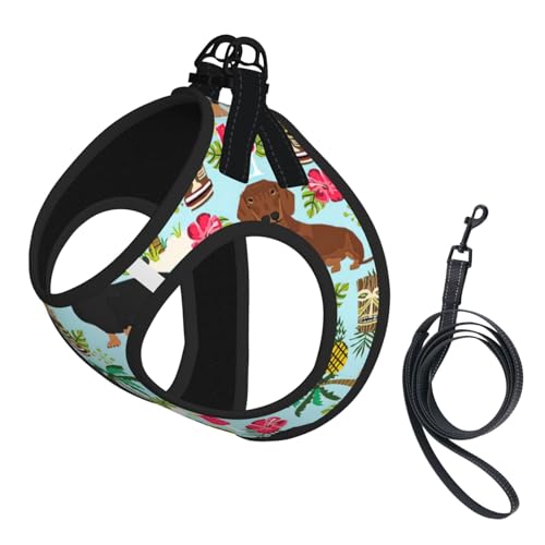 S Haustier-Leine, Weste und Hundegeschirr, kleine Größe, mit Ananas-Druck, mit Schnalle, Hundebegleiter, Outdoor-Reisen S Haustier-Leine, Weste und Hundegeschirr, kleine Größe, mit Ananas-Druck, mit Schnalle, Hundebegleiter, Outdoor-Reisen von CPyuqw