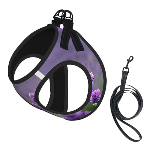 S Haustier-Leine, Weste und Hundegeschirr, kleine Größe, violett, Lavendelfarben, Blumendruck, Leinenset mit Schnalle, Hundebegleiter, Outdoor-Reisen von CPyuqw