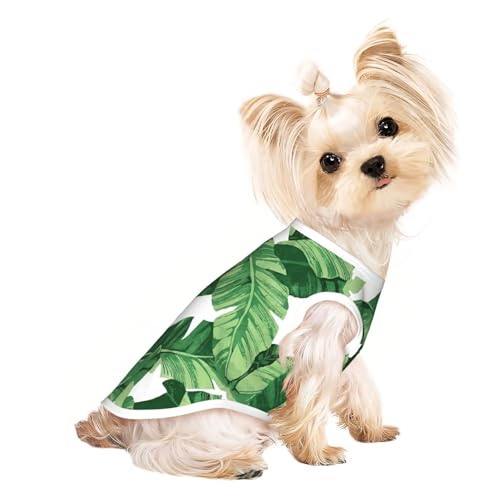 S Pet atmungsaktives ärmelloses T-Shirt – weiche, süße grüne Palmenblätter, dehnbare Weste für Hunde und Katzen, leichtes Tanktop S Pet atmungsaktives ärmelloses T-Shirt – weiche, süße grüne Palmenblätter, dehnbare Weste für Hunde und Katzen, leichtes Tanktop von CPyuqw