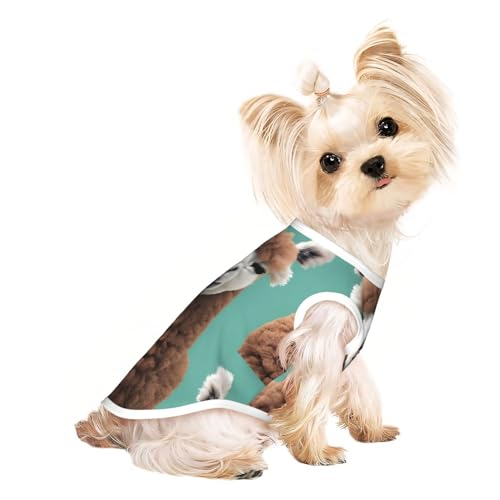S Pet atmungsaktives ärmelloses T-Shirt - weiches Alpaka-Lama-Druck, dehnbare Weste für Hunde und Katzen, leichtes Tanktop S Pet atmungsaktives ärmelloses T-Shirt - weiches Alpaka-Lama-Druck, dehnbare Weste für Hunde und Katzen, leichtes Tanktop von CPyuqw