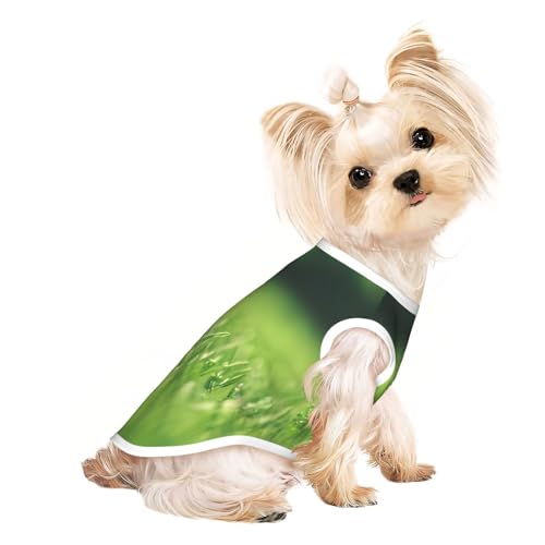 S Pet atmungsaktives ärmelloses T-Shirt - weiches HD-grünes Naturdruck, dehnbare Weste für Hunde und Katzen, leichtes Tanktop S Pet atmungsaktives ärmelloses T-Shirt - weiches HD-grünes Naturdruck, dehnbare Weste für Hunde und Katzen, leichtes Tanktop von CPyuqw