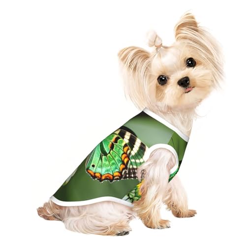 S Pet atmungsaktives ärmelloses T-Shirt – weiches grünes Blattmuster, buntes Schmetterlings-Druck, dehnbare Weste für Hunde und Katzen, leichtes Tanktop S Pet atmungsaktives ärmelloses T-Shirt – weiches grünes Blattmuster, buntes Schmetterlings-Druck, dehnbare Weste für Hunde und Katzen, leichtes Tanktop von CPyuqw