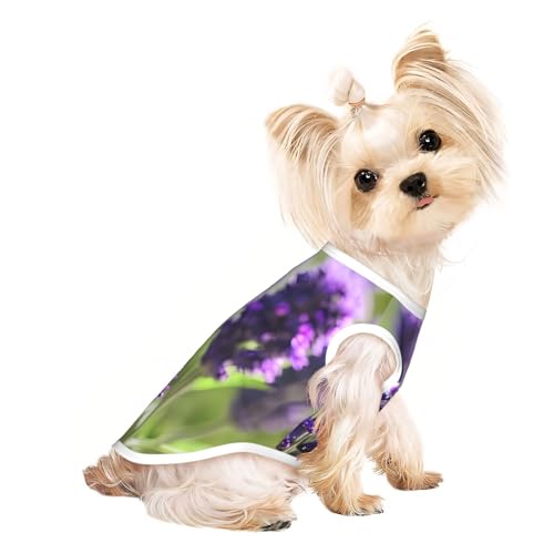 S Pet atmungsaktives ärmelloses T-Shirt – weiches lavendelfarbenes Blumendruck, dehnbare Weste für Hunde und Katzen, leichtes Tanktop S Pet atmungsaktives ärmelloses T-Shirt – weiches lavendelfarbenes Blumendruck, dehnbare Weste für Hunde und Katzen, leichtes Tanktop von CPyuqw