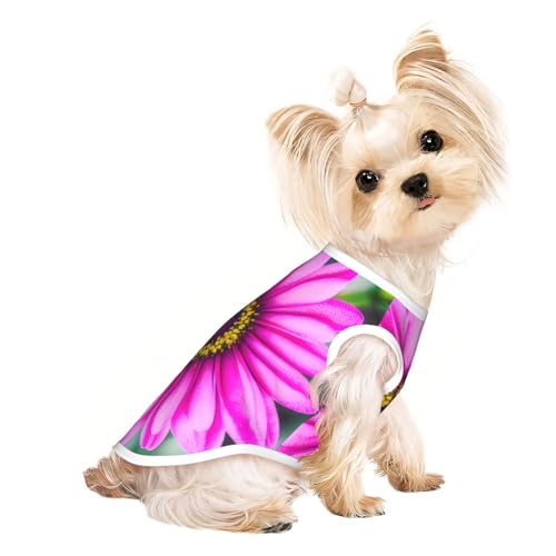 S Pet atmungsaktives ärmelloses T-Shirt – weiches rosa Blumendruck, dehnbare Weste für Hunde und Katzen, leichtes Tanktop S Pet atmungsaktives ärmelloses T-Shirt – weiches rosa Blumendruck, dehnbare Weste für Hunde und Katzen, leichtes Tanktop von CPyuqw