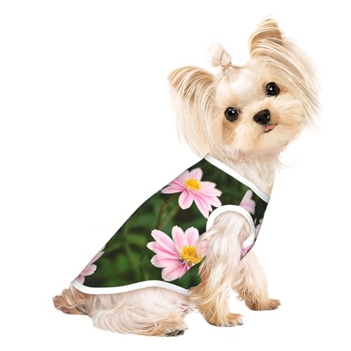 S Pet atmungsaktives ärmelloses T-Shirt – weiches rosa weiß-goldenes Blumendruck, dehnbare Weste für Hunde und Katzen, leichtes Tanktop S Pet atmungsaktives ärmelloses T-Shirt – weiches rosa weiß-goldenes Blumendruck, dehnbare Weste für Hunde und Katzen, leichtes Tanktop von CPyuqw