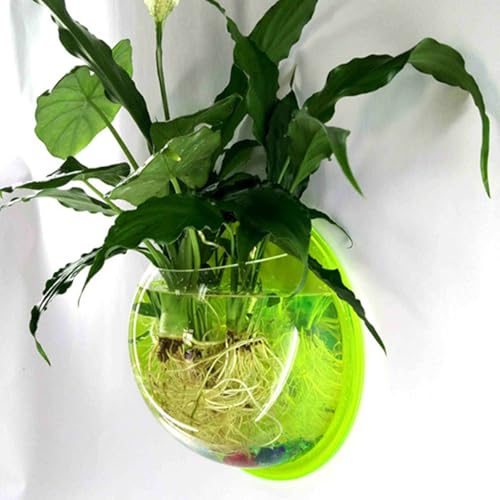 Aufbewahrungs-Organizer CQEAZ Wandvase für Fische, Wandmontage, hängende Acrylvase, Blume, Pflanze, Aquarium, 15 cm, 19,6 cm, 25,9 cm Aufbewahrungs-Organizer CQEAZ Wandvase für Fische, Wandmontage, hängende Acrylvase, Blume, Pflanze, Aquarium, 15 cm, 19,6 cm, 25,9 cm von CQEAZ