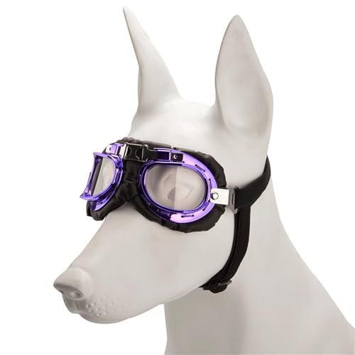 CQEAZ Modische Sonnenbrille für Hunde, Vintage-Stil, reflektierend, für Urlaub, Hundezubehör, Hunde-Sonnenbrille CQEAZ Modische Sonnenbrille für Hunde, Vintage-Stil, reflektierend, für Urlaub, Hundezubehör, Hunde-Sonnenbrille von CQEAZ
