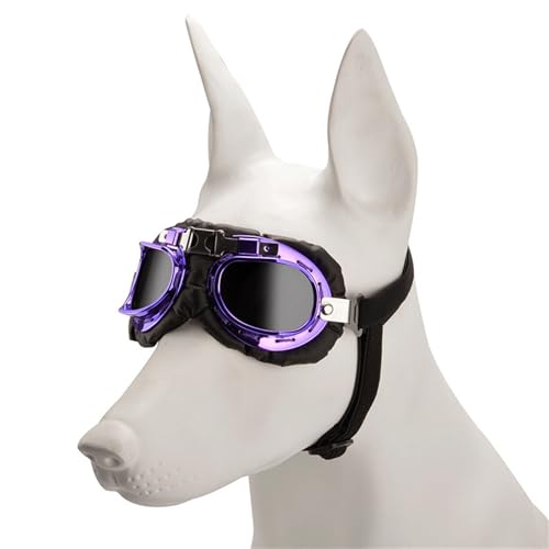 CQEAZ Modische Sonnenbrille für Hunde, Vintage-Stil, reflektierend, für Urlaub, Hundezubehör, Hunde-Sonnenbrille von CQEAZ