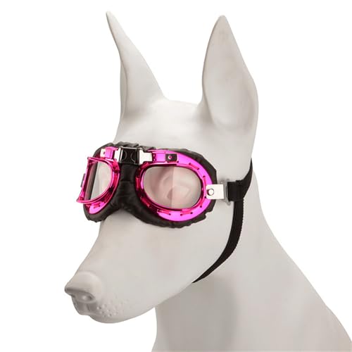 CQEAZ Modische Sonnenbrille für Hunde, Vintage-Stil, reflektierend, für Urlaub, Hundezubehör, Hunde-Sonnenbrille CQEAZ Modische Sonnenbrille für Hunde, Vintage-Stil, reflektierend, für Urlaub, Hundezubehör, Hunde-Sonnenbrille von CQEAZ