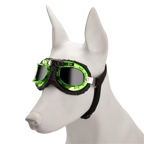 CQEAZ Modische Sonnenbrille für Hunde, Vintage-Stil, reflektierend, für Urlaub, Hundezubehör, Hunde-Sonnenbrille CQEAZ Modische Sonnenbrille für Hunde, Vintage-Stil, reflektierend, für Urlaub, Hundezubehör, Hunde-Sonnenbrille von CQEAZ