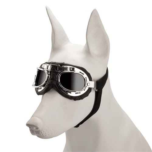 CQEAZ Modische Sonnenbrille für Hunde, Vintage-Stil, reflektierend, für Urlaub, Hundezubehör, Hunde-Sonnenbrille von CQEAZ