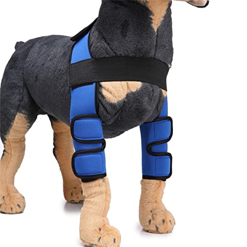 Ellenbogenschutz für Hunde, Knieschutz, Anti-Lecken, Wundbeinbandage, Vorderkniebedeckungen, Erholungsbeinschutz, Hunde-Ellenbogenschutz Ellenbogenschutz für Hunde, Knieschutz, Anti-Lecken, Wundbeinbandage, Vorderkniebedeckungen, Erholungsbeinschutz, Hunde-Ellenbogenschutz von CQEAZ