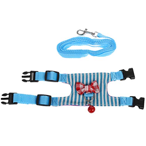 Hamster-Leine, CQEAZ mit Schleife, für kleine Haustiere, verstellbar, bequem, Spazierengehen, CQEAZ für Hamster Hamster-Leine, CQEAZ mit Schleife, für kleine Haustiere, verstellbar, bequem, Spazierengehen, CQEAZ für Hamster von CQEAZ
