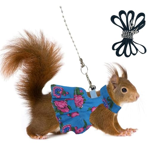 3er Set Meerschweinchen Geschirr mit Kleid & Leine – Verstellbares Geschirr für Hamster, Frettchen & Chinchillas – No-Pull Spaziergeschirr für Kleintiere (Blau M) von CQJ