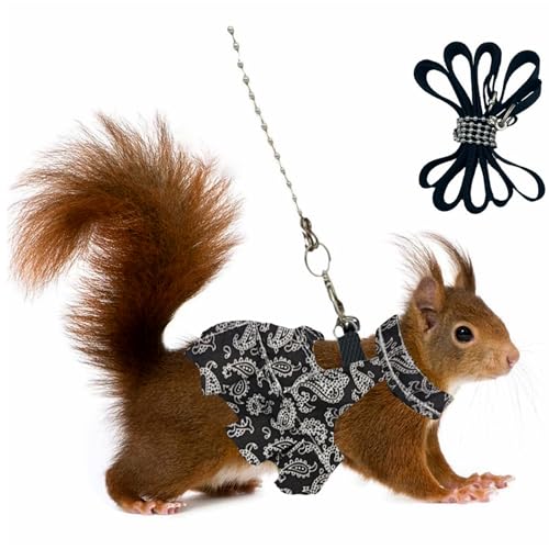 3er Set Meerschweinchen Geschirr mit Kleid & Leine – Verstellbares Geschirr für Hamster, Frettchen & Chinchillas – No-Pull Spaziergeschirr für Kleintiere (Schwarz M) von CQJ