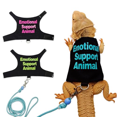 Bartagamen Kleidung mit Leine – Süßes Reptilien-Outfit mit Verstellbarem Geschirr für Kleine Echsen, Ideal für Spaziergänge, Fotos & Outdoor – Blau von CQJ