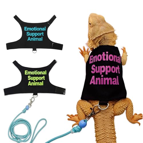Bartagamen Kleidung mit Leine – Süßes Reptilien-Outfit mit Verstellbarem Geschirr für Kleine Echsen, Ideal für Spaziergänge, Fotos & Outdoor – Rosa von CQJ