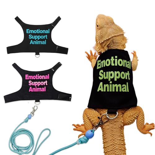 Bartagamen Kleidung mit Leine – Süßes Reptilien-Outfit mit Verstellbarem Geschirr für Kleine Echsen, Ideal für Spaziergänge, Fotos & Outdoor – Grün von CQJ