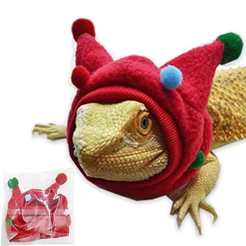 CQJ Bartdrache, lustig, niedlich, Bullhorn-Ballmütze mit Hals, für Bartagamen, Eidechsen, Schlange, Gecko, Chamäleon, Papagei, Hamster, kleine Haustiere, Rot CQJ Bartdrache, lustig, niedlich, Bullhorn-Ballmütze mit Hals, für Bartagamen, Eidechsen, Schlange, Gecko, Chamäleon, Papagei, Hamster, kleine Haustiere, Rot von CQJ