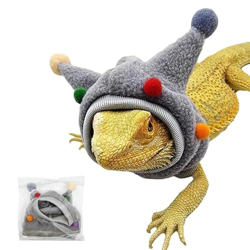 CQJ Bartdrache, lustig, niedlich, Bullhorn-Ballmütze mit Hals, für Bartagamen, Eidechsen, Schlange, Gecko, Chamäleon, Papagei, Hamster, kleine Haustiere (grau) von CQJ