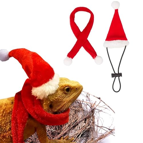 CQJ Bartdrache Weihnachtsmannmütze und Schal Set Weihnachtskostüm für Reptilien Kleintiere Halloween Weihnachten für Haustier von CQJ