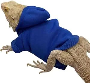 CQJ Eidechsen-Kleidung für Bartagamen, Reptilienbekleidung, handgefertigt, Baumwollmaterial, Kapuzenpullover, Geschenk für Eidechse, Kleintiere, Gecko, Chamäleon, Blau CQJ Eidechsen-Kleidung für Bartagamen, Reptilienbekleidung, handgefertigt, Baumwollmaterial, Kapuzenpullover, Geschenk für Eidechse, Kleintiere, Gecko, Chamäleon, Blau von CQJ