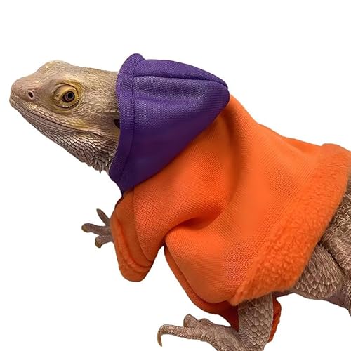 CQJ Eidechsen-Kleidung für Bartagamen, Reptilienbekleidung, handgefertigt, Baumwollmaterial, Kapuzenpullover, Geschenk für Eidechse, Kleintiere, Gecko, Chamäleon (Orange und Lila) von CQJ