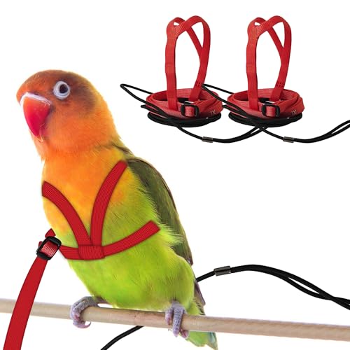 CQJ 2er Set Papageien Geschirr mit Leine – Verstellbares Training Geschirr Anti-Biss Design, Outdoor Flugtraining Leine für Vögel, Passend für Brustumfang 24-51 cm (M rot) von CQJ