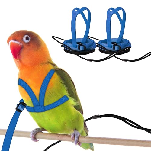 CQJ 2er Set Papageien Geschirr mit Leine – Verstellbares Training Geschirr Anti-Biss Design, Outdoor Flugtraining Leine für Vögel, Passend für Brustumfang 24-51 cm (M blau) von CQJ