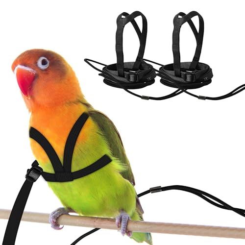 CQJ 2er Set Papageien Geschirr mit Leine – Verstellbares Training Geschirr Anti-Biss Design, Outdoor Flugtraining Leine für Vögel, Passend für Brustumfang 24-51 cm (M Schwarz) von CQJ