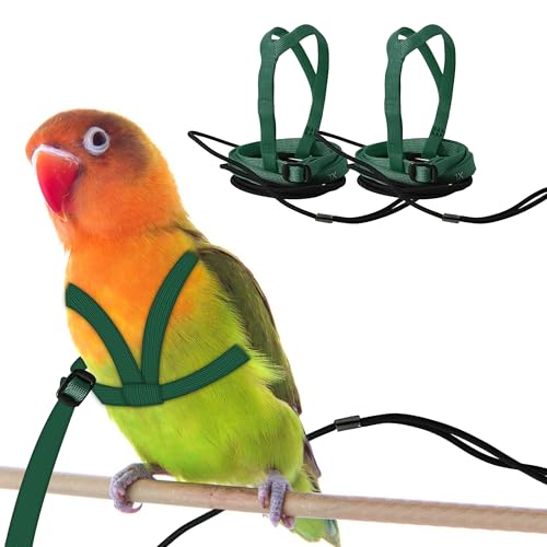 CQJ Papageien-Vogelgeschirr und Leine, verstellbares Trainingsdesign, Anti-Bissschutz, Fliegen-Trainingsseil-Set für Vögel, Papageien, passend für Vögel mit einem Brustumfang von 24–51 cm, Größe M CQJ Papageien-Vogelgeschirr und Leine, verstellbares Trainingsdesign, Anti-Bissschutz, Fliegen-Trainingsseil-Set für Vögel, Papageien, passend für Vögel mit einem Brustumfang von 24–51 cm, Größe M von CQJ