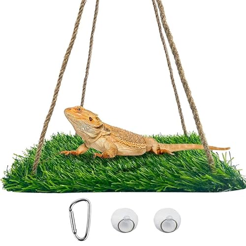 CQJ Reptilien-Hängematten-Schaukel-Hängebett, PP-Graspolster, tragbarer Vogelschaukel, Ständer, natürliche Schaukel, Hängebett für Bartdrachen, Leopard, Gecko, Eidechse, Vögel, Papageien (Quadrat) CQJ Reptilien-Hängematten-Schaukel-Hängebett, PP-Graspolster, tragbarer Vogelschaukel, Ständer, natürliche Schaukel, Hängebett für Bartdrachen, Leopard, Gecko, Eidechse, Vögel, Papageien (Quadrat) von CQJ