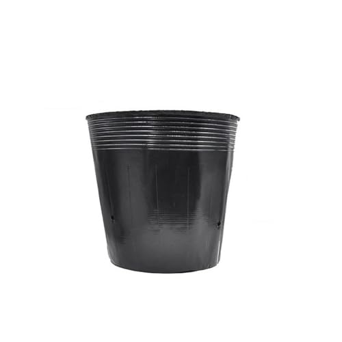 Terrarien für Blumenkübel 100Pcs Kindergarten Töpfe Kunststoff Sämling Tasse Gemüse Pflanzen wachsen Box Transplantation Anbau Blumentöpfe Flaschengarten(100pcs 15X13CM) von CQJJXKYC
