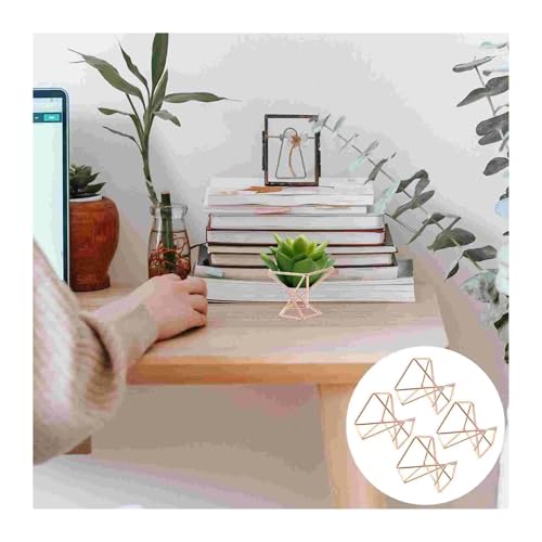 Terrarien für Blumenkübel 4 Pcs Terrarium Air Ananas Stehen Anlage Steht Halter Blume Display Desktop Rose Gold Regal Flaschengarten(G) von CQJJXKYC
