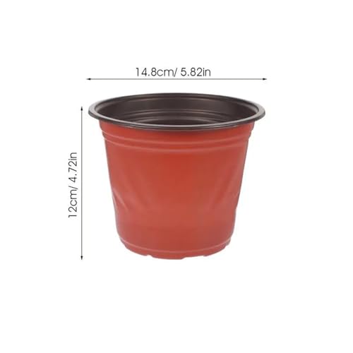 Terrarien für Blumenkübel 50 Stück Blumentöpfe für den Innenbereich, Blumensämlingsbedarf, Garten, großer Pflanztopf aus Kunststoff, Starter für Pflanzen im Freien Flaschengarten(Picture 314.8X12CM) von CQJJXKYC