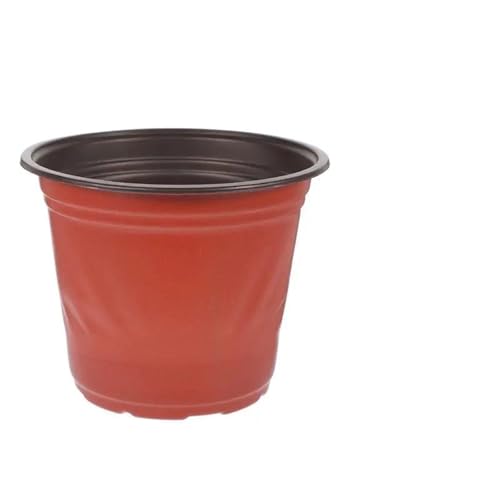 Terrarien für Blumenkübel 50 Stück Blumentöpfe für den Innenbereich, Blumensämlingsbedarf, Garten, großer Pflanztopf aus Kunststoff, Starter für Pflanzen im Freien Flaschengarten(Picture 211.8X9.5CM) von CQJJXKYC