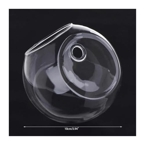Terrarien für Blumenkübel 8 10 12cm Glasvase Wandbehang Hydroponisches Terrarium Fischtanks Topfpflanze Blumentopf Flaschengarten(10cm) von CQJJXKYC
