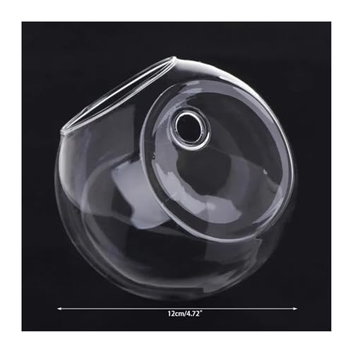 Terrarien für Blumenkübel 8 10 12cm Glasvase Wandbehang Hydroponisches Terrarium Fischtanks Topfpflanze Blumentopf Flaschengarten(12cm) von CQJJXKYC