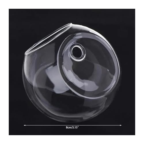 Terrarien für Blumenkübel 8 10 12cm Glasvase Wandbehang Hydroponisches Terrarium Fischtanks Topfpflanze Blumentopf Flaschengarten(8cm) von CQJJXKYC