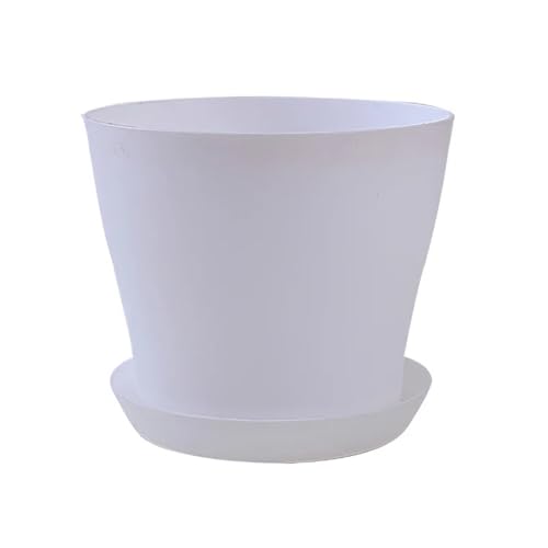 Terrarien für Blumenkübel Blumentopf, rund, Pflanzgefäße, Bonbonfarben, Topf, Büro, Schreibtisch, Balkon, Heim, Garten, Dekoration, Outdoor, Topf Flaschengarten(A,L 1000ML) von CQJJXKYC