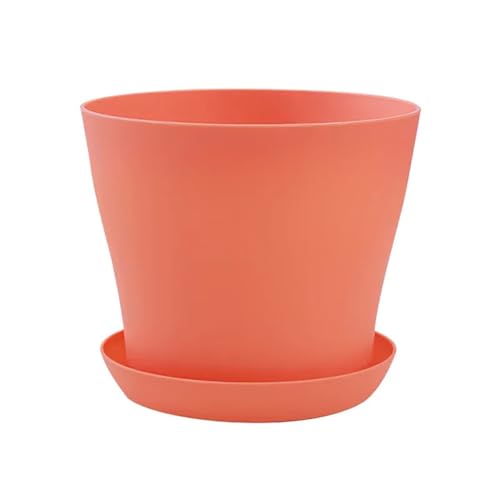 Terrarien für Blumenkübel Blumentopf, rund, Pflanzgefäße, Bonbonfarben, Topf, Büro, Schreibtisch, Balkon, Heim, Garten, Dekoration, Outdoor, Topf Flaschengarten(D,S 300ML) von CQJJXKYC