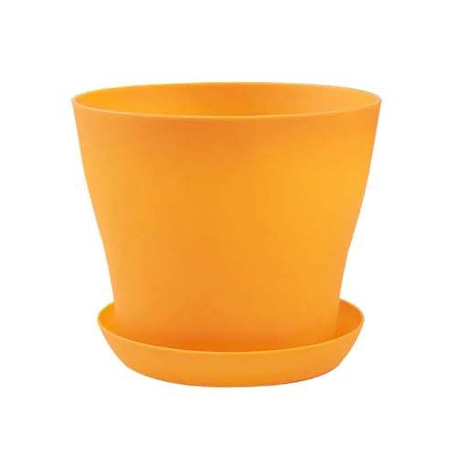 Terrarien für Blumenkübel Blumentopf, rund, Pflanzgefäße, Bonbonfarben, Topf, Büro, Schreibtisch, Balkon, Heim, Garten, Dekoration, Outdoor, Topf Flaschengarten(M,L 1000ML) von CQJJXKYC