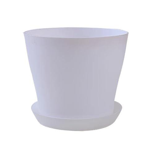 Terrarien für Blumenkübel Bunter Blumentopf, runde Pflanzgefäße, Sukkulenten, Blumentopf, Kinderzimmer, Blumentöpfe, Gartenpflanzen, Tablett, Bürodekor Flaschengarten(A,M 500ML) von CQJJXKYC