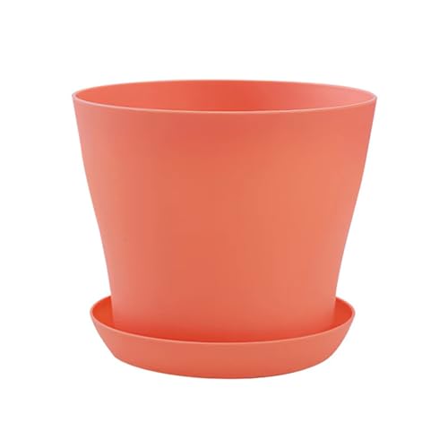 Terrarien für Blumenkübel Bunter Blumentopf, runde Pflanzgefäße, Sukkulenten, Blumentopf, Kinderzimmer, Blumentöpfe, Gartenpflanzen, Tablett, Bürodekor Flaschengarten(D,S 300ML) von CQJJXKYC