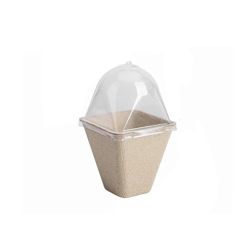 Terrarien für Blumenkübel Einweg Kindergarten Sämling Tasse Sämling Tablett Mit Deckel Sprießen Keimung Anbau Schüssel Anlage Flaschengarten(10PCS-8cm Quadrate) von CQJJXKYC